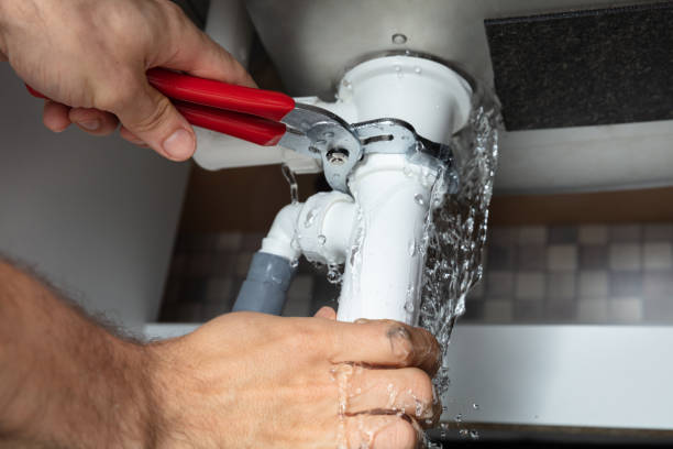 Best Flood restoration services  in Eveleth, MN