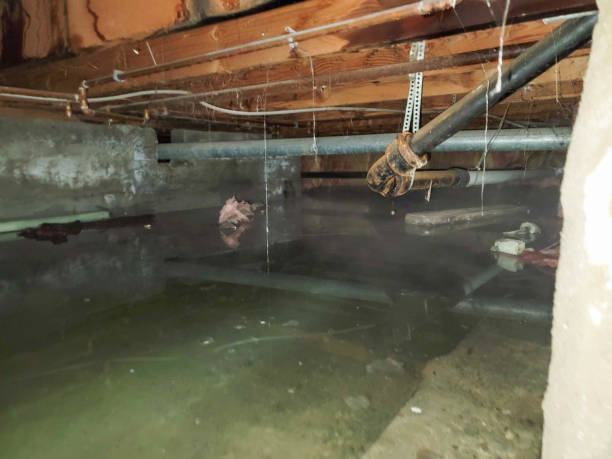 Best Water damage restoration near me  in Eveleth, MN