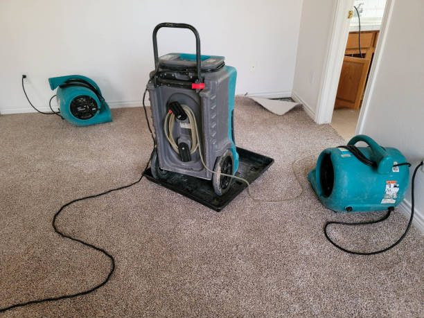Best Ceiling water damage repair  in Eveleth, MN
