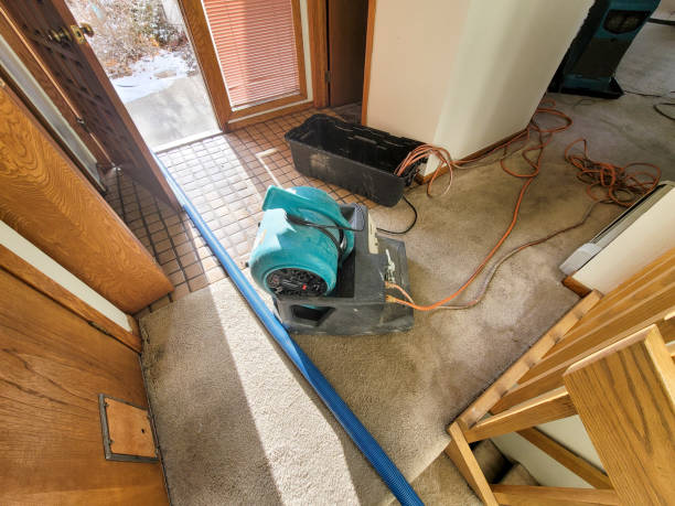 Best Water damage restoration near me  in Eveleth, MN