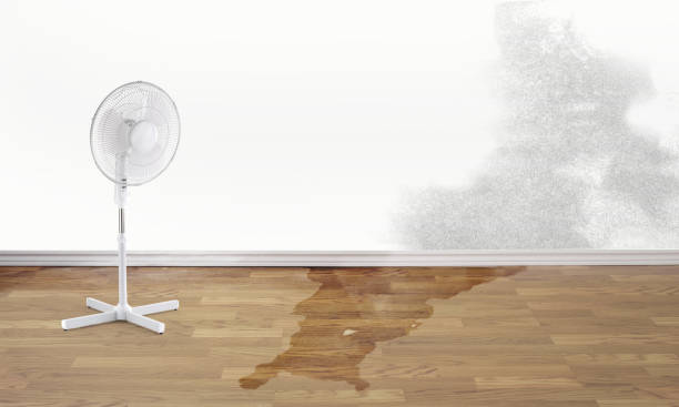 Best Flood damage cleanup  in Eveleth, MN