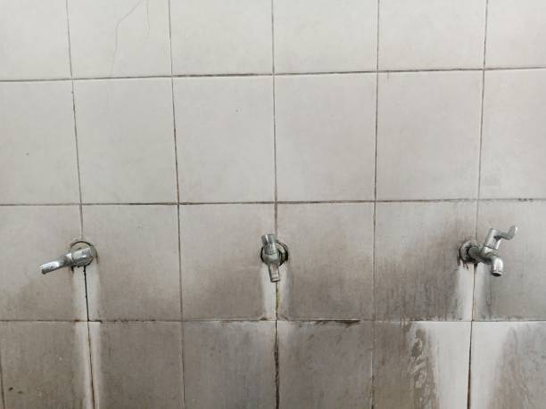 Best Water damage cleanup near me  in Eveleth, MN