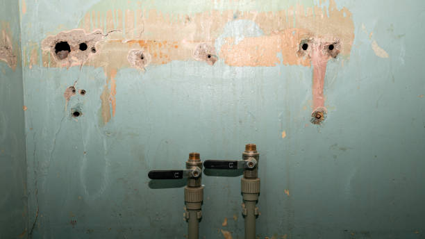 Best Mold removal after water damage  in Eveleth, MN